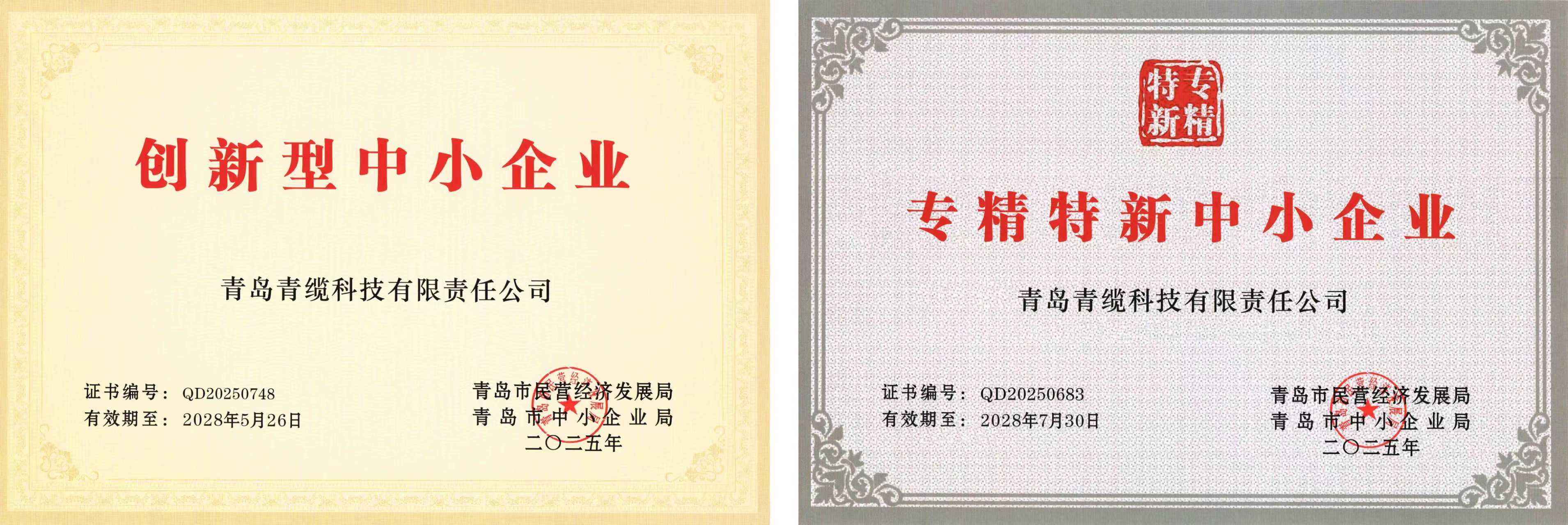 青纜獲評“創(chuàng)新型中小企業(yè)”并順利通過“專精特新中小企業(yè)”復(fù)評(圖1)